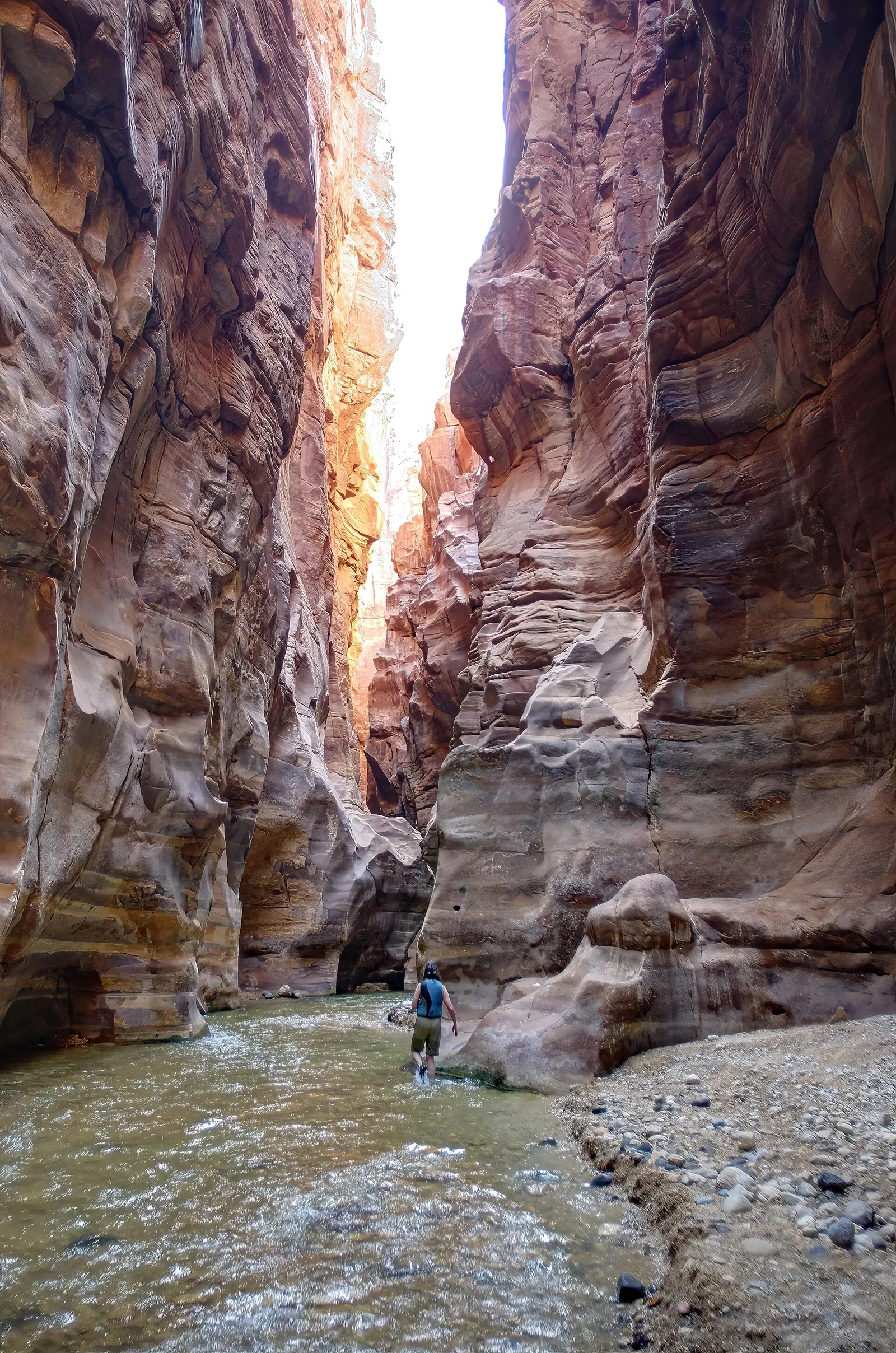 Hikers wading through the narrow water-filled gorge of the Wadi Mujib Siq Trail