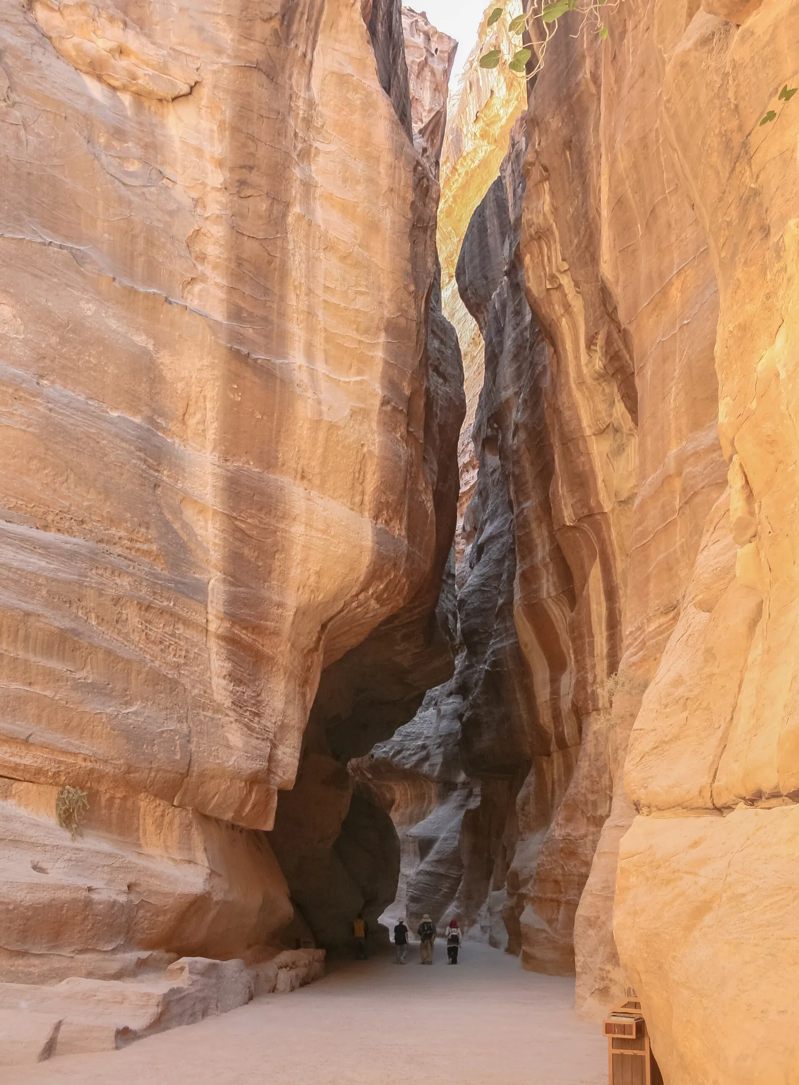 The narrow Siq canyon leading to the Treasury at Petra, Jordan