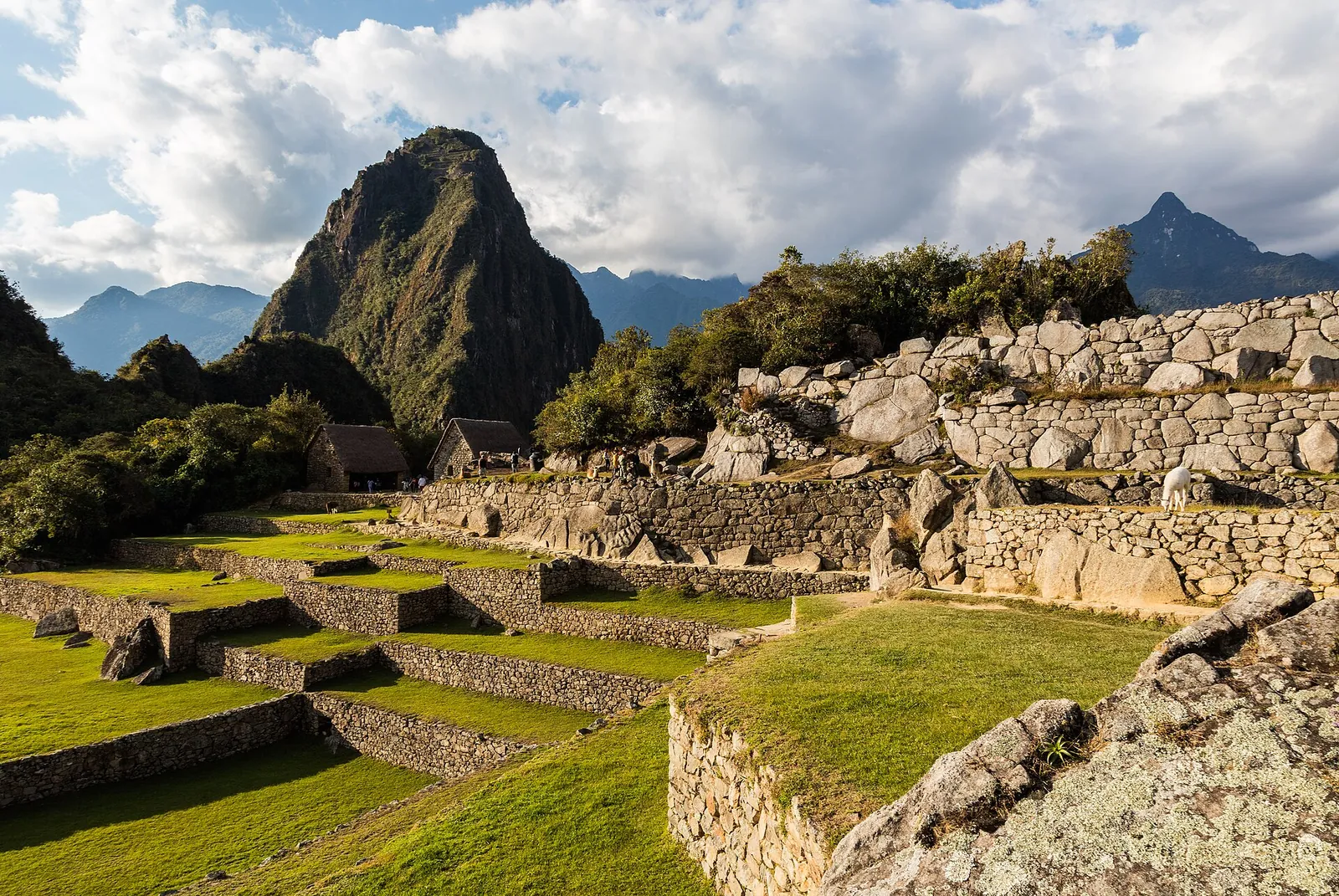 Grassy terraces and stone walls inside the Machu Picchu citadel with Huayna Picchu behind