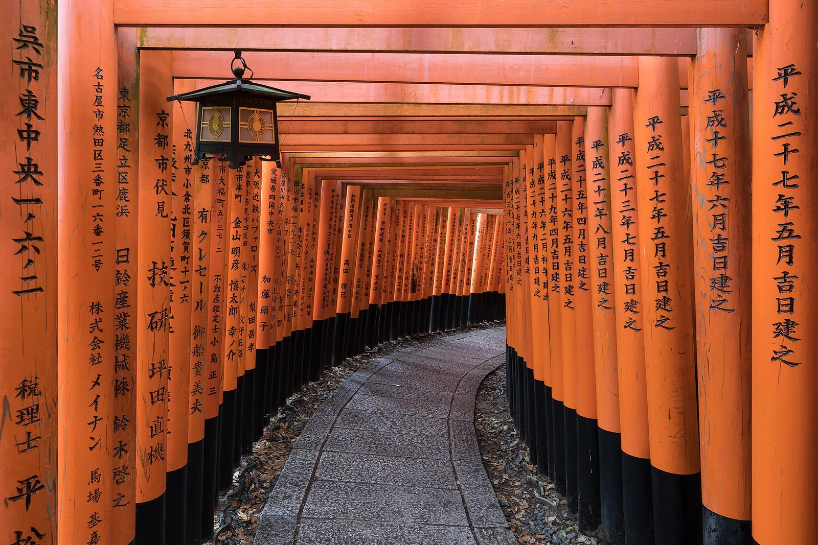 Tunnel of vermilion torii gates on the path at Fushimi Inari shrine, Kyoto, Japan
