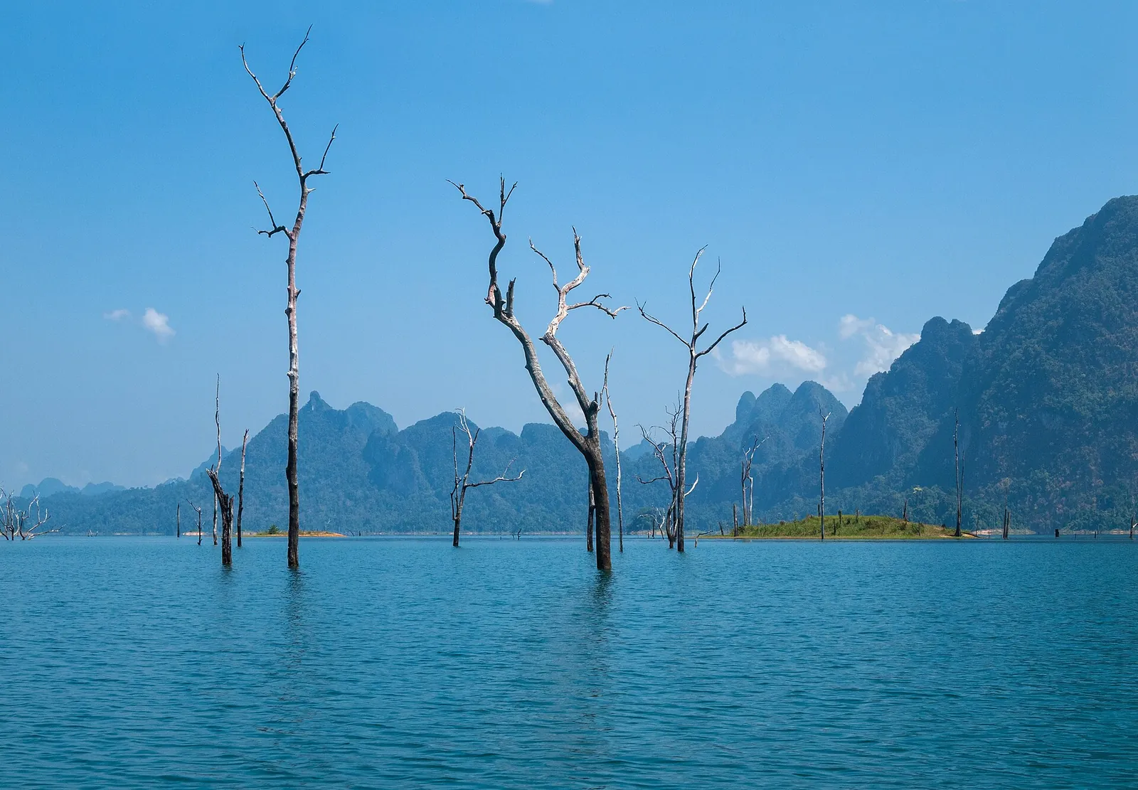 Drowned trees standing in the blue water of Cheow Lan Lake below limestone peaks, Khao Sok, Thailand