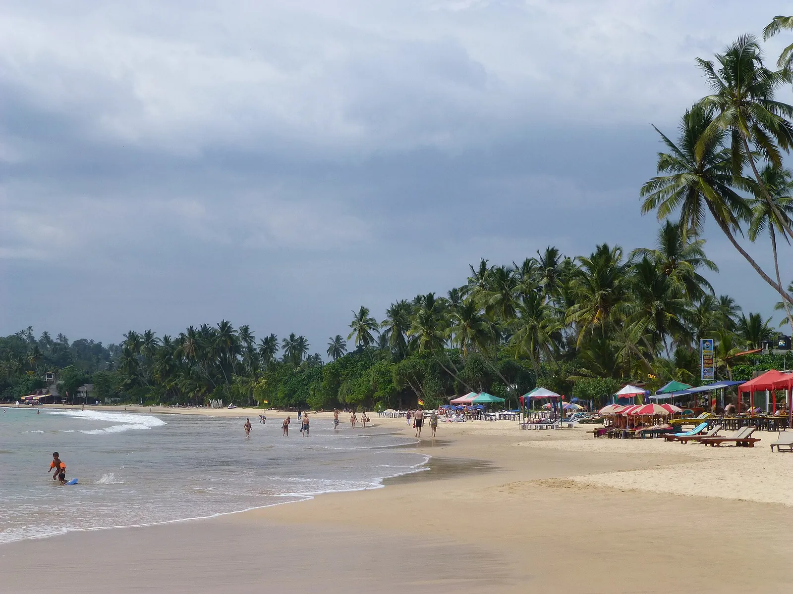 Palm trees leaning over the sand along Mirissa beach on Sri Lanka's south coast